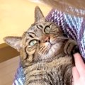 ママのことが大好きな猫→どうしても離れたくなくて…悶絶級に愛おしい…