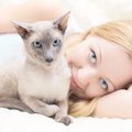 猫が髪の毛を噛む理由、やめさせる方法