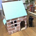 デコレーション用のリメイクシートでかわいく♡段ボール猫ハウスの作り方