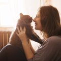 猫の不妊・去勢手術をした方が良い３つの理由