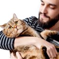 猫に飼い主がしがちな『余計なお世話』4つ　ストレスを与えない適切な方法…