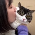 真夜中のおひとり様運動会！猫吸いされて撃沈する猫くん