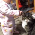 猫に優しく見守られながら育った赤ちゃん…涙あふれる『４年後の光景』…