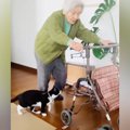 94歳のおばあちゃん→カートを押していると、『猫』がやって来て…心温まる…