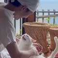 甘えん坊な元野良猫をなでなでしていると…思わず笑ってしまう『まさかの光…