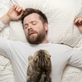 愛猫が飼い主を朝『たたき起こす』ために使うあの手この手7選　安眠妨…