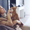 猫の名前は何にする？名づける時の６つのポイント