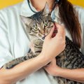 備えあれば憂いなし！「猫のための家庭の医学」の内容とは？