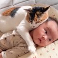 『この子は絶対に離さないニャ』猫が赤ちゃんを大好きになったら…尊す…