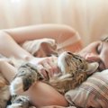 猫と『添い寝』する時の注意3つ｜お互いが快適に寝る為に気を付けるべきこ…