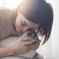 猫に『大好き』な気持ちが伝わる5つの方法