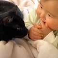『まさかこんなに仲良くなるなんて…』猫と赤ちゃんが一緒に暮らした結…