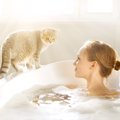 猫が『お風呂上がり』を待っていてくれる理由5つ　お風呂場がきらいな…