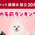 アイペット損保が「ペットの名前ランキング2024」を発表！ 