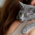 猫から『依存されやすい飼い主』の特徴4つ！依存関係が招きやすいトラ…