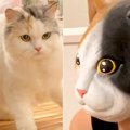 猫の被り物をして『ネコの前に出現』してみた結果…バケモンを見るかの…