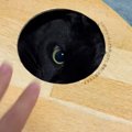 「か、可愛すぎる…！ｗ」穴から顔を出す黒猫→指を近づけたら…悶絶必至…