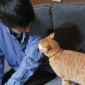 命の恩人と『６年ぶりの再会』で……猫が見せた『まさかのリアクション』に…