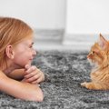 『猫は子供がニガテ』は本当？どちらもハッピーになるためのコツ3つ