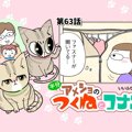 半分アメショのつくねとコナン【第63話】 「カバー付きハンガーラック」