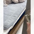子猫がいる部屋のドアを開けると…可愛すぎる『寝起きの様子』が42万再生「…