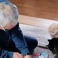 実家に猫たちを預けたら……父が見せた『とんでもないスゴ技』が321万再…