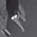 『真夜中』にペットカメラを見たら、猫が……『躍動感あふれる光景』に「目…