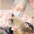 老人ホームに入り、猫と離れ離れになったおばあちゃん→数年ぶりに『再会』…