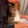 お兄ちゃんが勉強をしていると、ネコが膝の上に乗ってきて…予想外の『かわ…