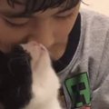 小さな男の子に抱っこされる子猫→4年後…とんでもなく尊い『ビフォーア…
