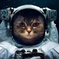 宇宙猫とは？スペースキャットの魅力や作り方を紹介！