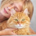 猫全員に『同じ可愛がり方』はNG？それぞれの子に合った方法の探し方4つ！