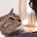 猫が『抱っこ』を嫌がる時の気持ち3つ