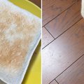トーストを見ていたら、似ているなと思って…猫のことを上から見てみると→…