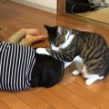 『猫と女の子によるじゃれあい』が可愛すぎると話題に　仲の良すぎる…