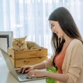 猫は『今座っている位置』によっても心が読める！3つの位置別に見る猫…