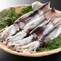 猫にイカを与えても大丈夫？「腰を抜かす」は本当？生が危険な理由や…