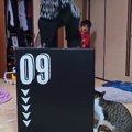 長男が箱に飛び乗るときはスルーする猫→次男がジャンプすると…『まさ…