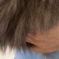 シャンプーされるのが嫌すぎる猫→飼い主さんの腕の中で…『可愛すぎる光景…