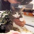 『大好きな次男に怒られた猫』どうしても"仲直り"したくて……