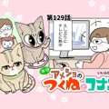 半分アメショのつくねとコナン【第129話】 「かまってよ～①」