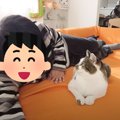 『猫と仲良くなりたいパパ』→5つのミッションにチャレンジした結果…ま…