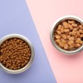 猫のフードは『固定』と『ローテーション』どっちがいい？それぞれの…