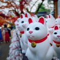 猫好きなら一度は訪れたい『神社・仏閣』4選　猫にまつわる御朱印がいただ…