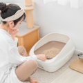 猫を苦しめる『パンドラ症候群』とは？原因や、この病気を疑うべき症状な…