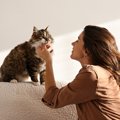 猫があなたに「心を許している」サイン5選　こんな姿が見られたらあな…