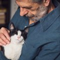 なぜ猫の感情に「悲しみ」はないと考えられているのか