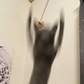 猫が『おもちゃに向かってジャンプする瞬間』を撮影したら…衝撃の姿が34万…
