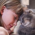 猫が愛を感じる飼い主の８の行動