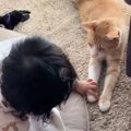 ふと見たら『赤ちゃんとネコ』が…とんでもなく尊い『やり取りの様子』…